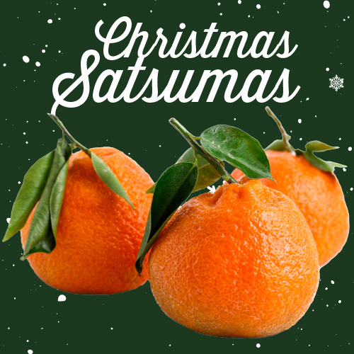 California Satsumas are our favourite Christmas orange! Come fill a bag with these delicious seasonal treat.